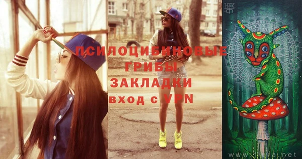 твердый Покачи