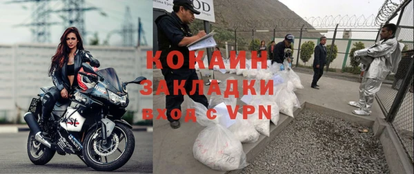 прущие грибы Абаза