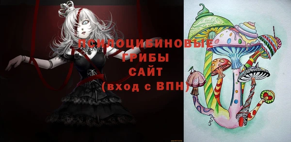 прущие грибы Абаза